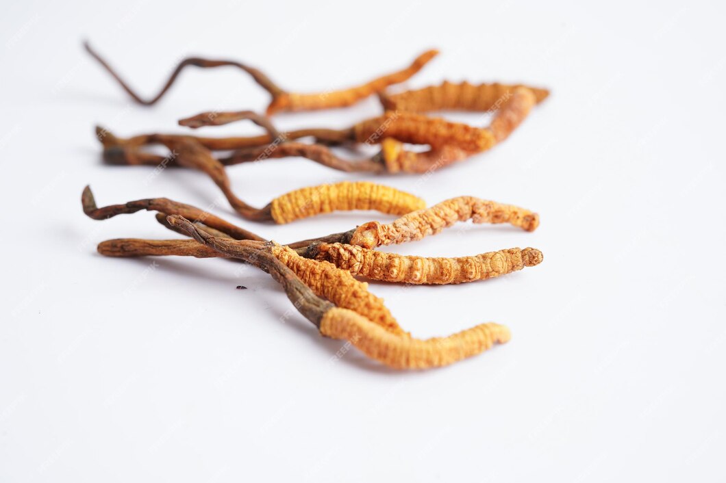 Vitalpilze Cordyceps