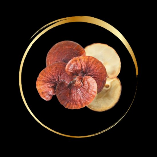 150g Shroomcacao Bundle - Rohkakao mit Vitalpilzen